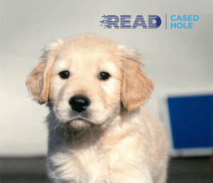 Guide Dogs READ Cased Hole